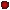 Search the forums